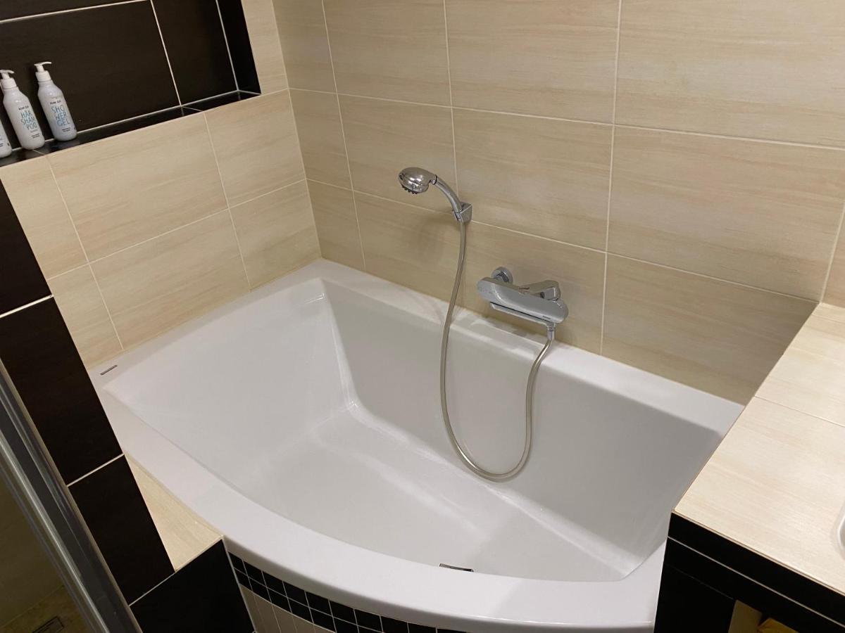 S Garazi A Balkonem Apartment Plzen