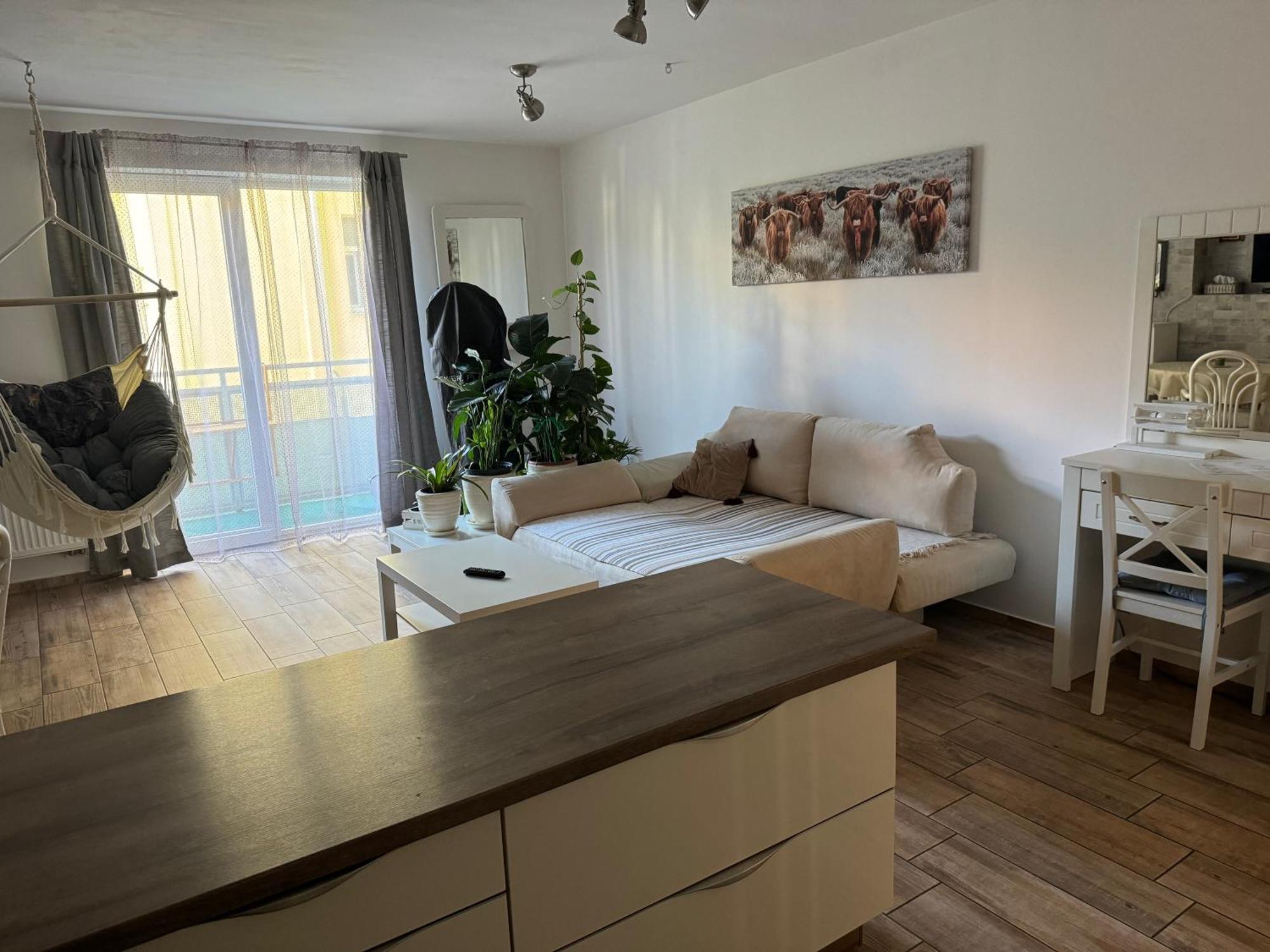 Apartment S Garazi A Balkonem Plzen